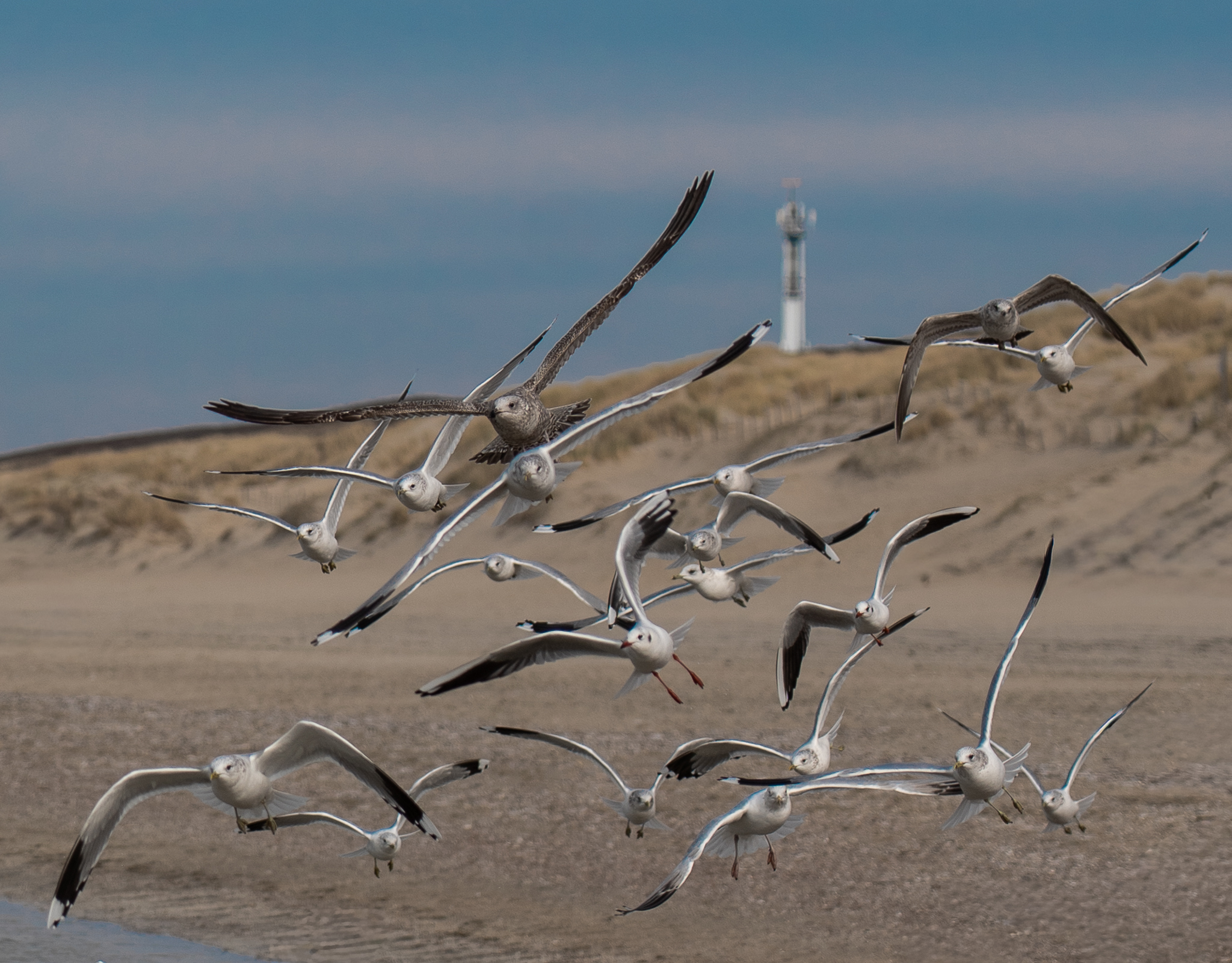 Noordwijk Strand cover